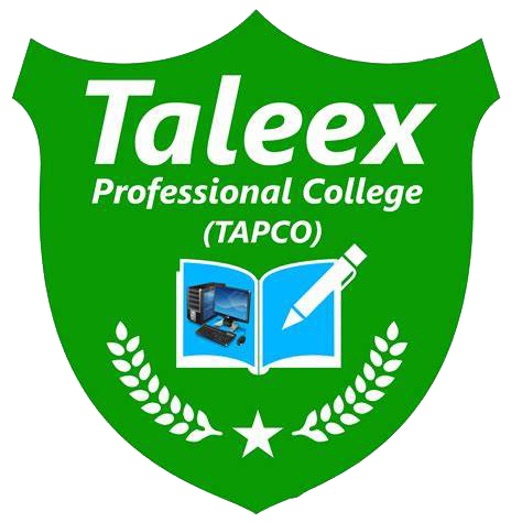 Taleex Professional Logo
